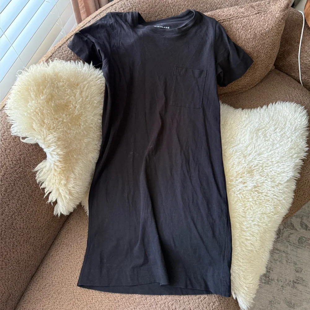 Everlane Black T Shirt Dress